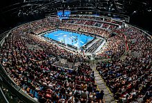 SC Magdeburg - Füchse Berlin - Marco Wolf/dpa