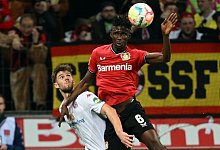 Bayer Leverkusen - FSV Mainz 05 - Federico Gambarini/dpa