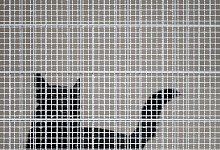 Polizeihund - Sebastian Gollnow/dpa/Symbolbild