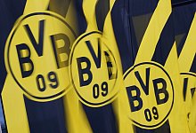 BVB geht juristisch gegen Wahlwerbung der AfD vor - Bernd Thissen/dpa