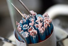 Samenbank - picture alliance / Uli Deck/dpa