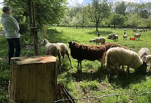 Bierweg - Till Brand