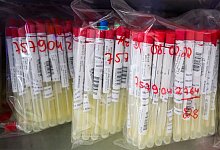 PCR-Test - Foto: Julian Stratenschulte/dpa