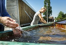 Erfrischend - Staatsbad Salzuflen/Andreas Hub