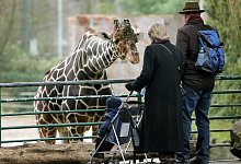 Zoobesuch - Foto: Roland Weihrauch
