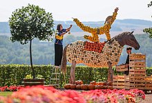 Kürbisfestival lockt in den Schlosspark Lichtenwalde - Jan Woitas/dpa