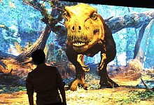 Schau zu Tyrannosaurus rex - Foto: Christina Horsten