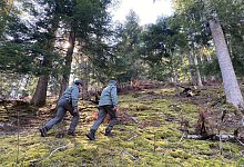 Toter Jogger - -/Provinzregierung Trentino/dpa