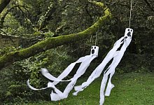 Flatternde Dosengeister im Garten - DIY-Academy/dpa-tmn