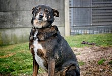 t_charly - Andreas Frücht