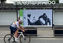 Banksy-Kunstwerk vor Londoner Zoo durch Replik ersetzt - Brian Melley/AP/dpa