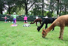 Yoga - Kirsten Fuhrmann