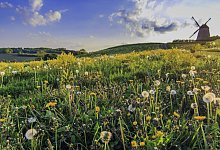 Fr&uuml;hling in Bavenhausen - Leserfoto: B&auml;rbel Hertrampf