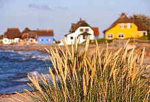 Häuser sind in Heiligenhafen hinter Strandhafer zu sehen - Uwe Bahn/dpa-tmn