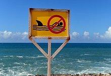 Surfer von Hai get&ouml;tet - Maurizio Gambarini/dpa/dpa-tmn