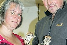Die beiden Jungtiere in der Hand ihrer Besitzer Maik und Maja Sielemann. - Foto: J&uuml;rges