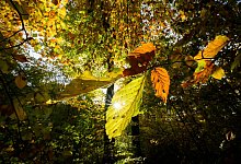 Sonniges Wetter in Niedersachsen - Julian Stratenschulte/dpa