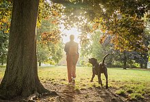 Eine Hund mit seinem Menschen - Christin Klose/dpa-tmn