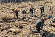 Bäume für Lippe - 1 - Wortmann Gruppe