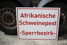 Afrikanische Schweinepest - Foto: Frank Rumpenhorst/dpa