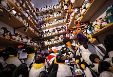 Pinguine im Sonderverkauf - Besonderes Museum schließt - Sina Schuldt/dpa