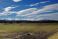 Grantown-on-Spey - Foto: Andreas Heimann/tmn/dpa/Archiv