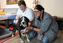 Physiotherapie für Hunde - 1 - 1 - Annika Langhagel