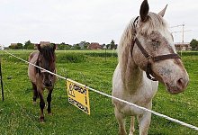 Vorsicht, unterversorgt - FOTO: PETER STEINERT