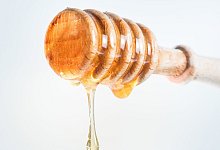 Flüssiger honig - Foto: Franziska Gabbert