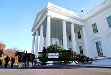 Weihnachtsbaum f&uuml;rs Wei&szlig;e Haus - Susan Walsh/AP