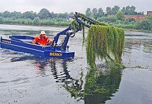 20220701_104307 - Marianne Schwarzer