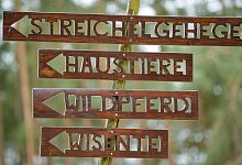 Streichelzoo - Patrick Pleul/dpa-Zentralbild/ZB