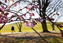 Wetter in Nordrhein-Westfalen - Thomas Banneyer/dpa