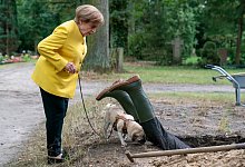 Miss Merkel &ndash; Ein Uckermark-Krimi - Oliver Feist/RTL/dpa