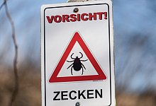 Zecken-Saison beginnt fr&uuml;her - Foto: Patrick Seeger/dpa
