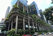 Singapurs gr&uuml;ne Revolution - Carola Frentzen/dpa