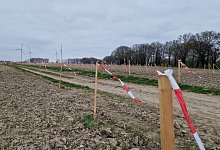 Windrad Lieme Hörstmar - Nadine Uphoff