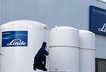 Linde - Foto: Stephan Jansen/dpa