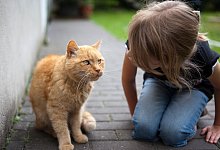 Neues Familienmitglied - Foto: Silvia Marks/dpa Themendienst/dpa-tmn