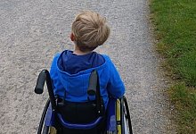 1000153491 - 1 - 1 - Bildrechte: Carolin Brokmann-Förster