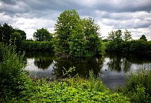 Entwarnung: Reptil-Video unmöglich von Gelände in Vechta - Sina Schuldt/dpa