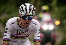 Tadej Pogacar - Marco Alpozzi/LaPresse/AP/dpa