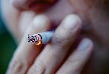 Sch&auml;dlich - DPA