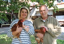 Volland - Alexandra Schaller