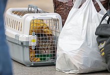 Fl&uuml;chtlinge in Leipzig - Foto: Jan Woitas/dpa-Zentralbild/dpa