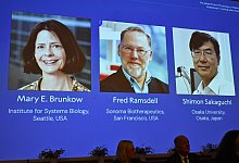 Nobelpreise 2025 - Medizin - Claudio Bresciani/TT News Agency/AP/dpa