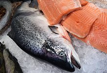 Lachs - Foto: dpa