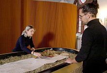 TV Ausblicke - Arte - «Kompostiert mich! Naturbestattungen» - -/ Image Création/Arte F/dpa