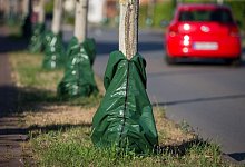 Wassers&auml;cke f&uuml;r B&auml;ume - Friso Gentsch/dpa