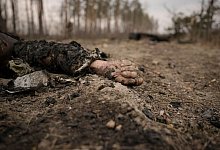 Putins &laquo;Kanonenfutter&raquo; - Vadim Ghirda/AP/dpa